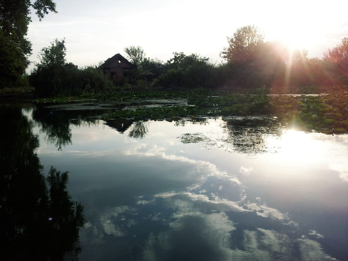 Morning sun reflecting on still water in Kashmir