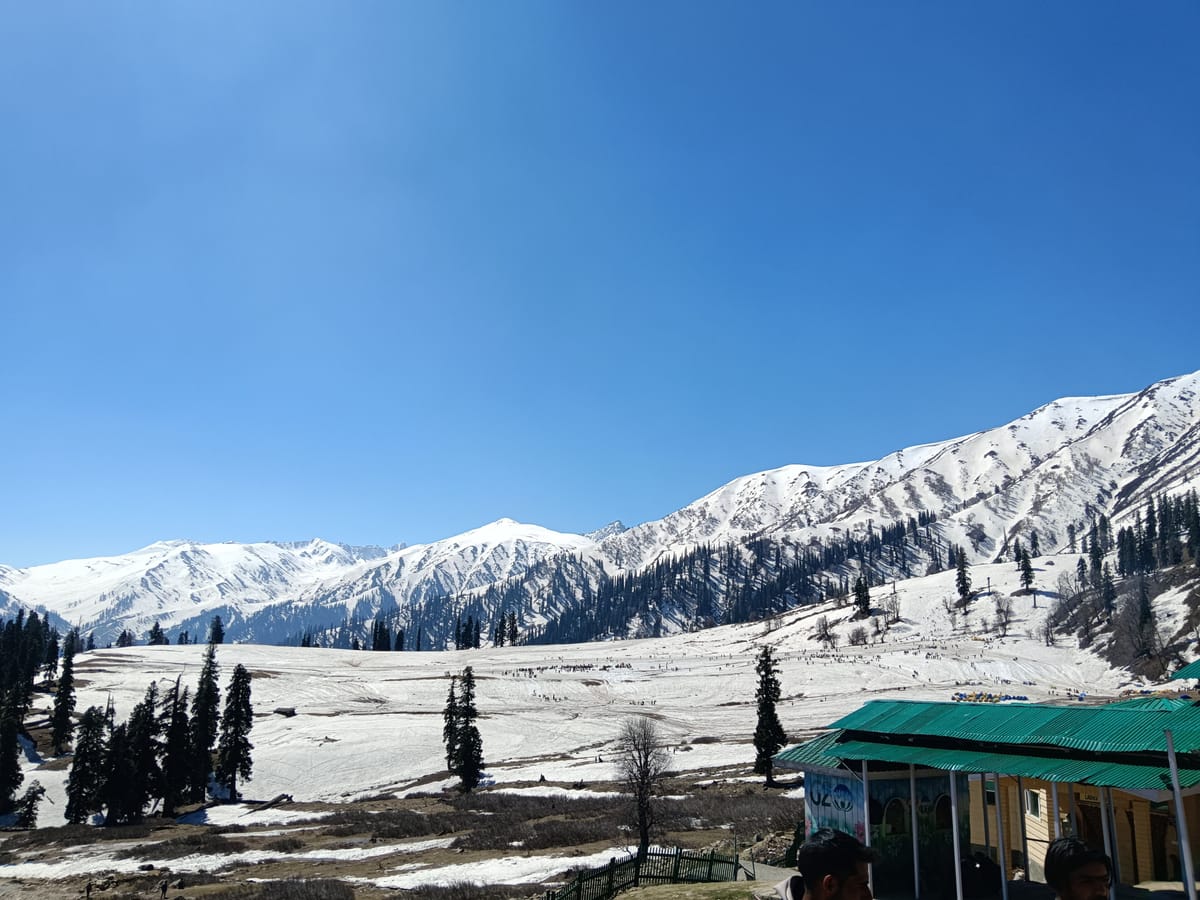 Snow-covered slopes and pine forest in Gulmarg
