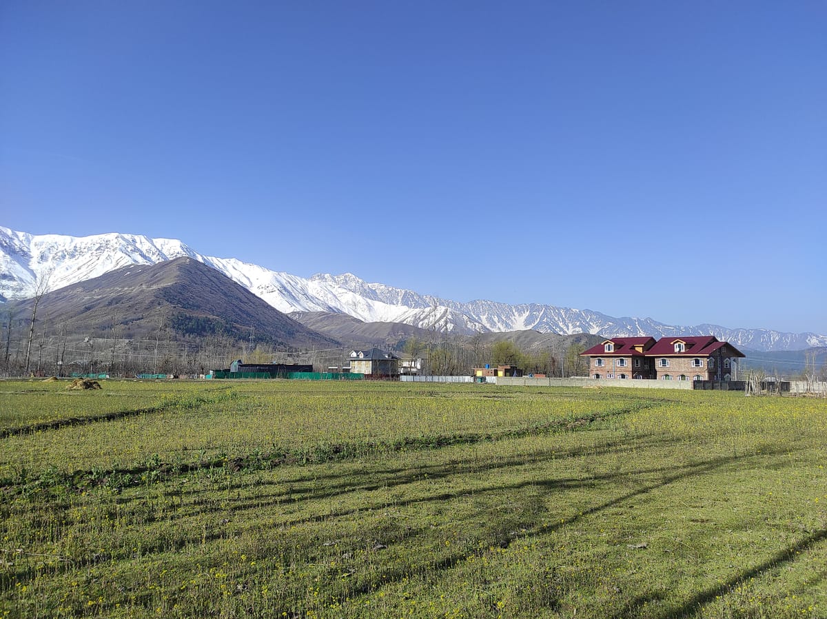 Pir Panjal mountains above farmland in Kashmir