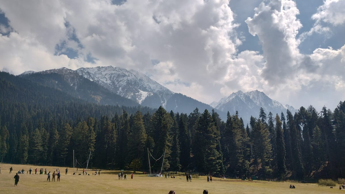 Baisaran meadow ringed by pine forest and snow peaks