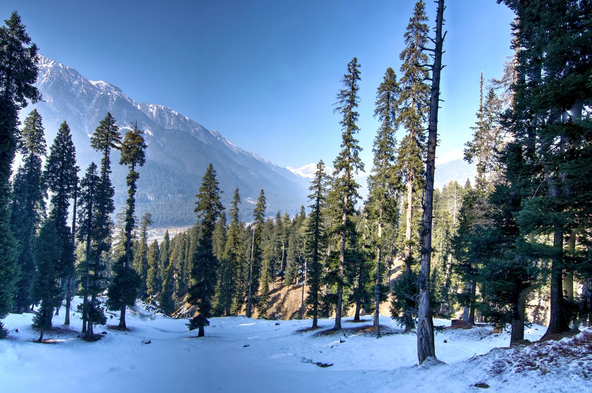 Snow-laden pines and mountains in the Pahalgam valley at dusk