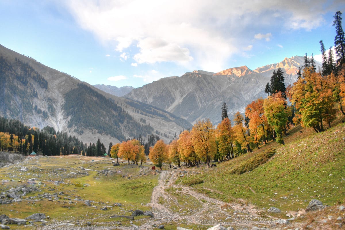 Autumn colours along the valley trail in Sonamarg